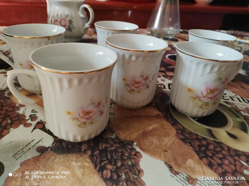 Crown regal floral mugs