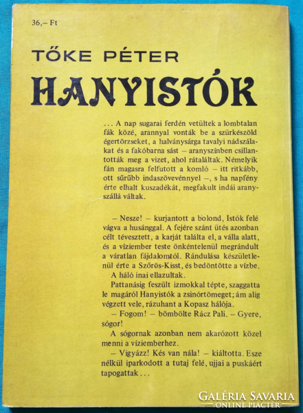 Péter Tőke: hanystók > children's and youth literature > novel