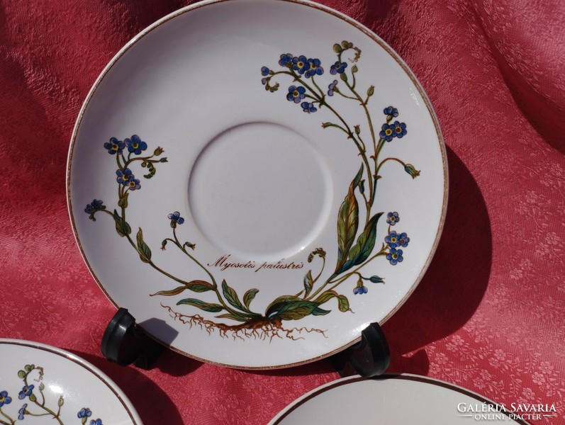 Villeroy & boch porcelain saucer, small plate with plant identification