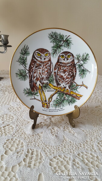 Steinkauz beautiful decorative plate with an owl, wall decoration