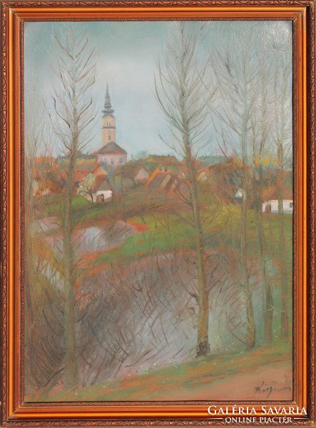 Ernő Klein from Kisjenő: view of the city