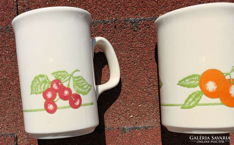 England fruit pattern mug pair