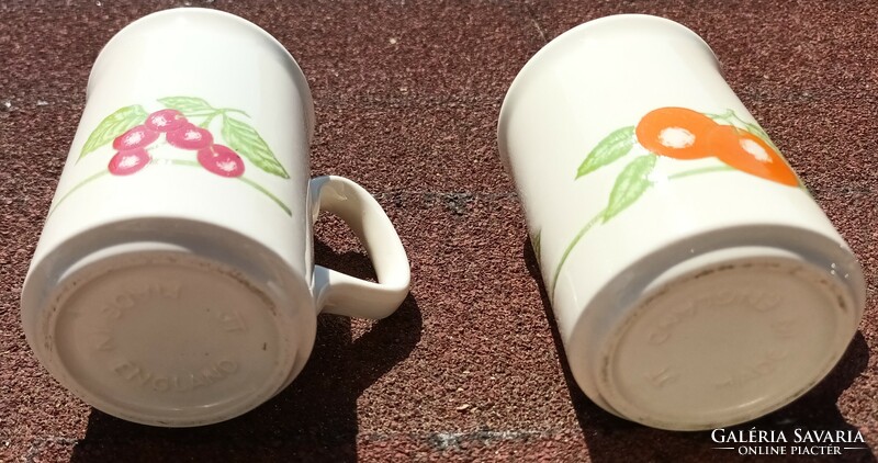 England fruit pattern mug pair