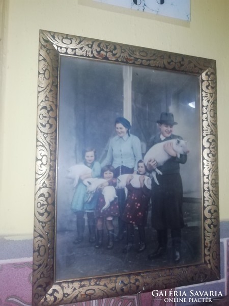 Old advertising family with pigs in a beautiful frame 58 cm x 45 cm