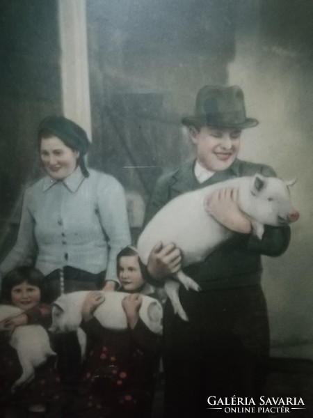 Old advertising family with pigs in a beautiful frame 58 cm x 45 cm