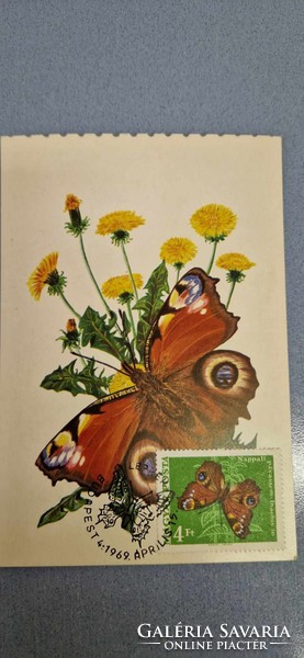 Postcard, butterflies, 1969. April 15. Budapest, daytime peacock eye, with 4 ft stamp.
