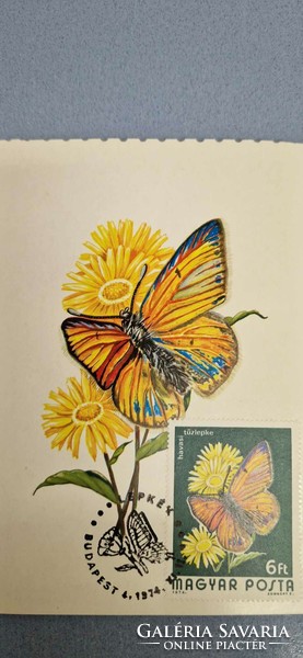Postcard, butterflies, 1974. Xi. II. Budapest, mountain firefly, with a 6 ft stamp.