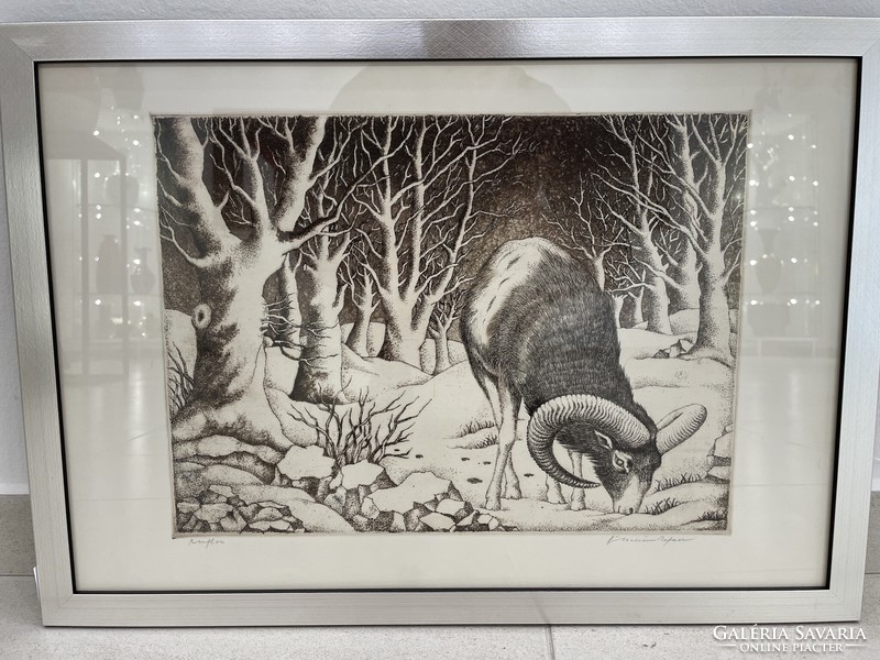 Muflon kos rézkarc grafika Ábrahám Rafael modern állatos tájkép