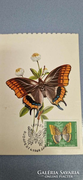 Postcard, butterflies, 1969. April 15. Budapest, tiger butterfly, with 1 ft stamp.