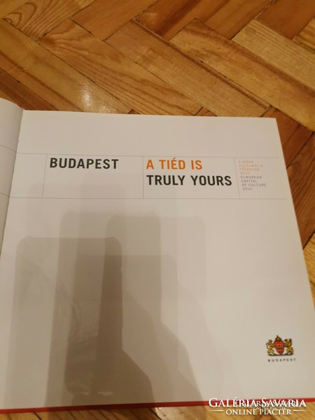 Budapest a tiéd is; Truly Yours | Bucsay Orsolya; Pályázati koncepció