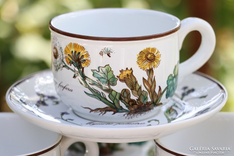 Villeroy botanica cup + saucer