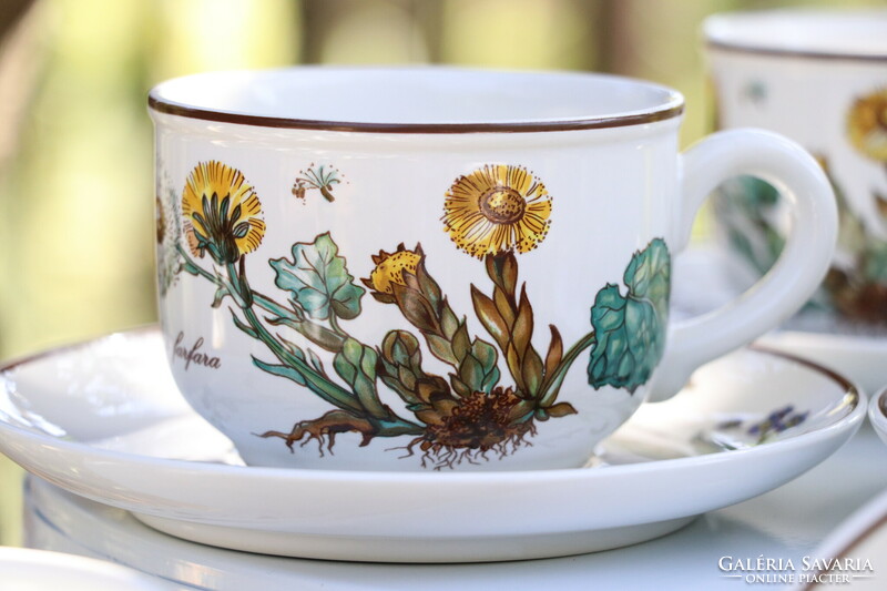 Villeroy botanica cup + saucer