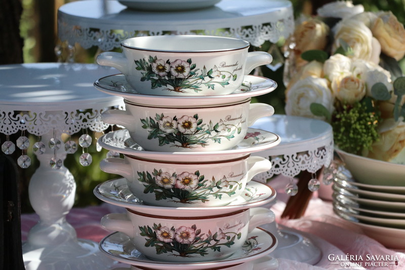 Villeroy botanica soup cup + saucer