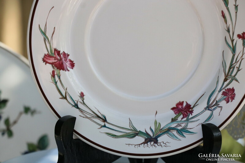 Villeroy botanica soup cup + saucer