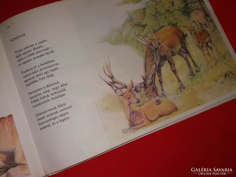 Old picture book with poems, Tandori-Secskó: Africa-India: Homeland of wild animals, according to pictures, Morá