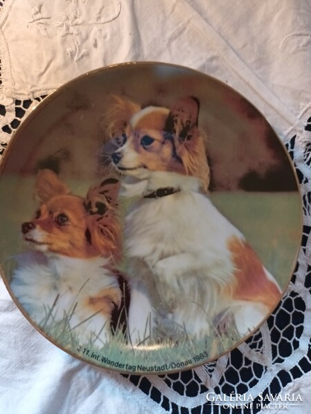 Nice and cheap! Old English porcelain corgi plate for sale!