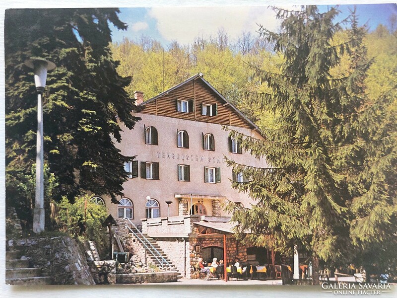 Postcard, fortune teller, starfish hotel.