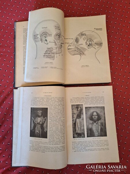 1914 Athenaeum- alexander bernát szerkaz individual and racial characteristics of the physical and mental life of man i-ii