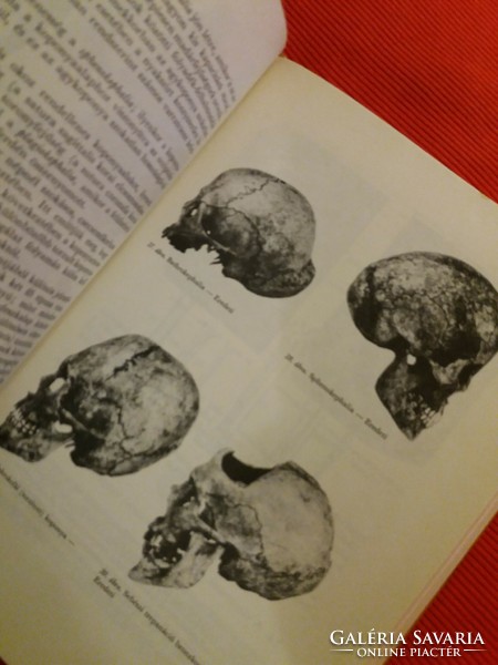 1978 Dr. Pál Lipták: textbook publisher of one of the 900 copies published in anthropology and human origins