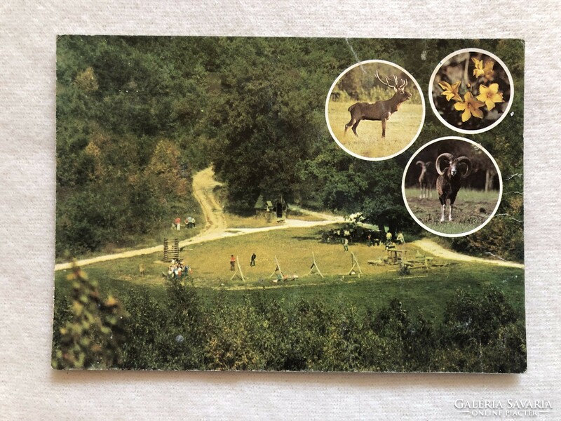 Budakeszi wildlife park postcard - post office