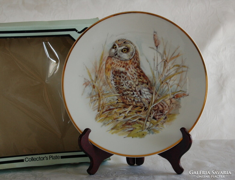 Beautiful stoke-on-trent owl plate short-eared owl'