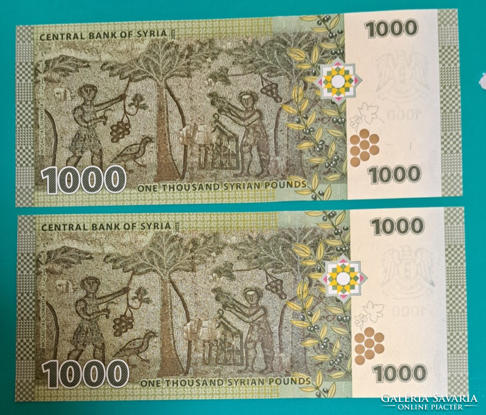 Szíria 1000 font pound  UNC (55)