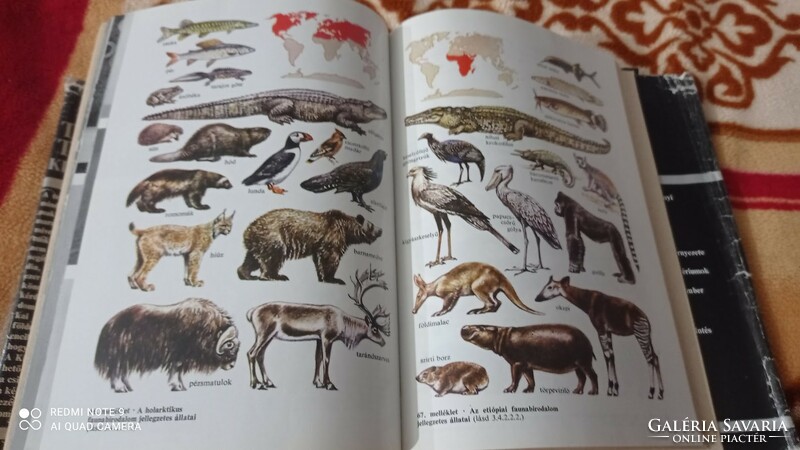 Small natural science encyclopedia, thought, vintage encyclopedia, book