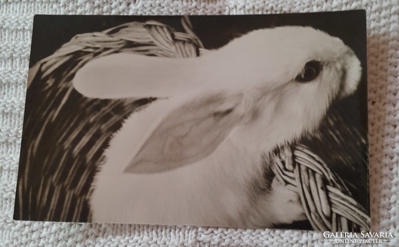 Retró húsvéti képeslap