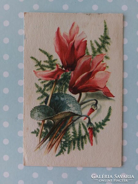 Old postcard 1964 floral postcard on cyclamen