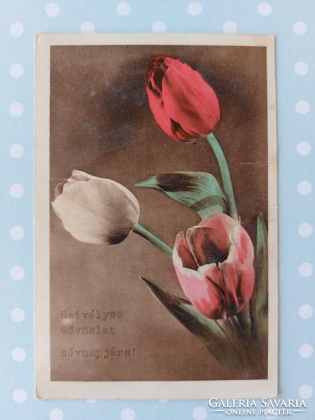 Régi képeslap 1950 virágos levelezőlap tulipán