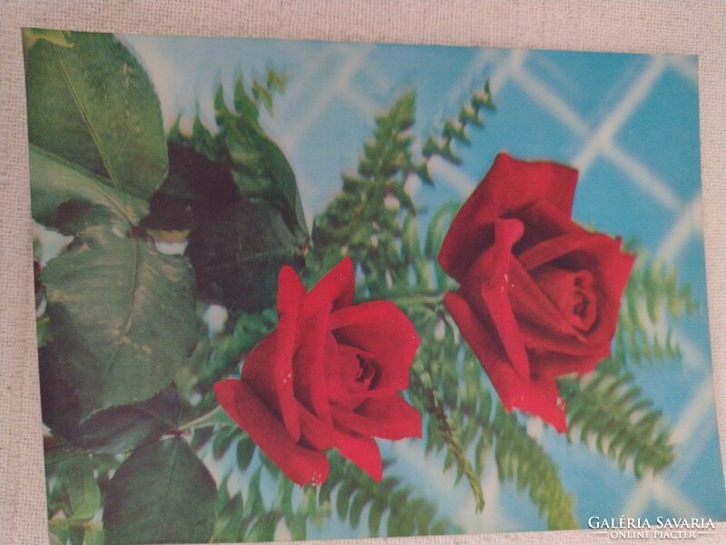 3 dimenzios rózsa képeslap