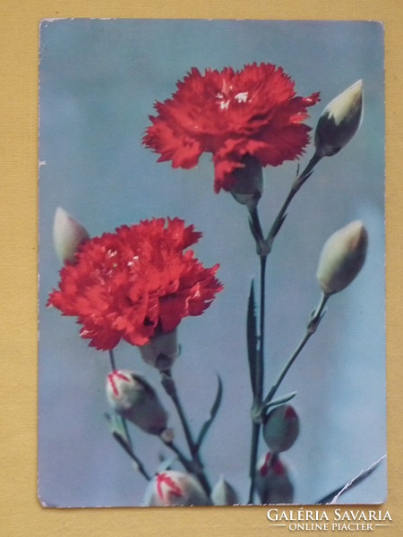 Running postcards with flowers, 5 pieces - according to the photos /02/