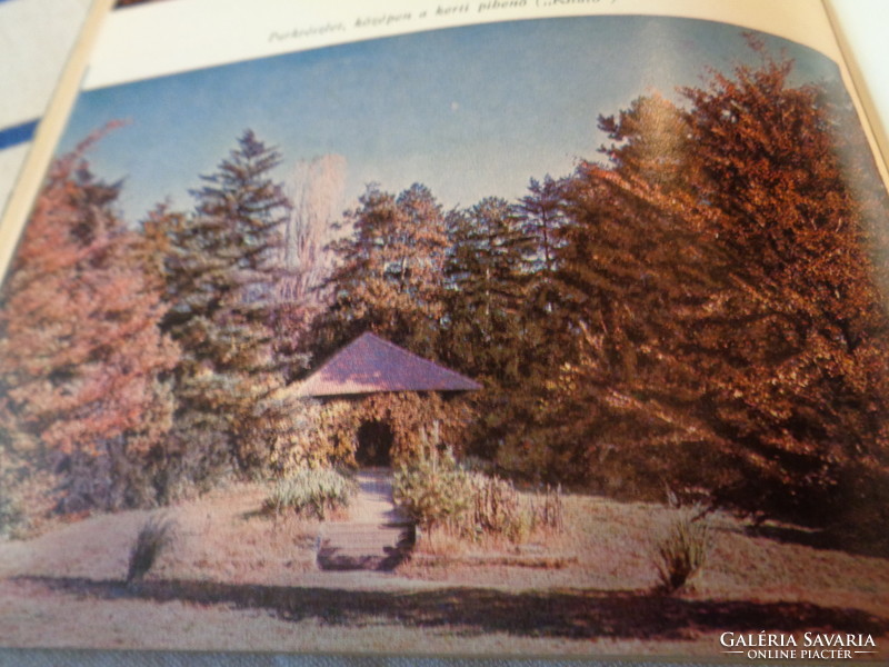 The Szarvas arboretum, farm for rent bp. 1974