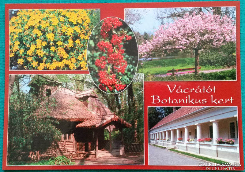 Vácrátót, botanical garden, nature, postal clean mosaic postcard, 1982