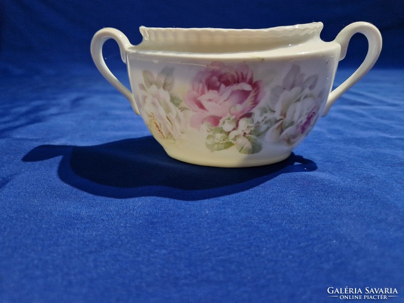 Victoria Czechoslovak rose porcelain