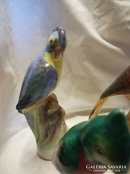 Ceramic parrots + a porcelain