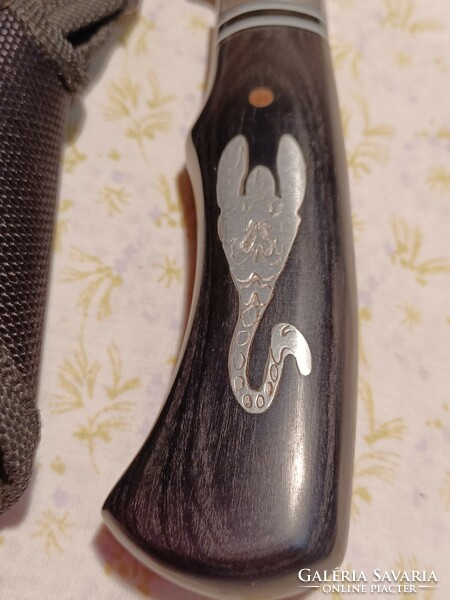 Unique stainless steel dagger with a scorpion pattern in its case