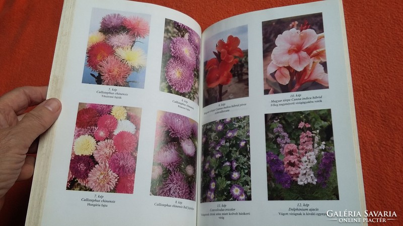 Dr. Béla Nagy: annual flowers. Agricultural publishing house, 1991.