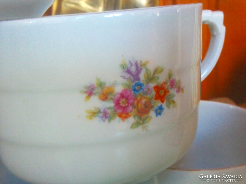 Antique drasche porcelain tea set, 6 pcs