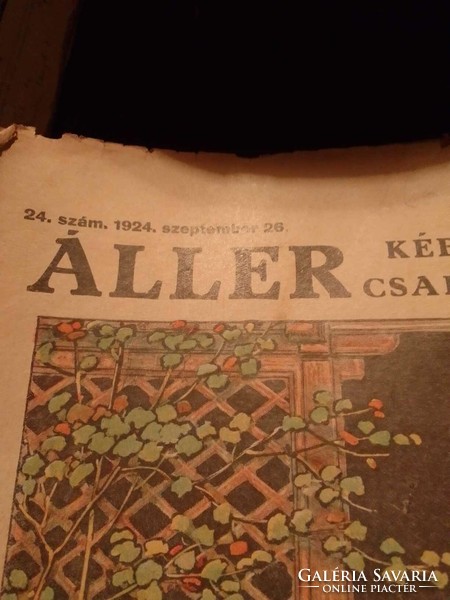 Aller képes családilapja 1924-ből