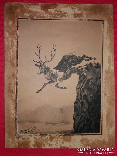 Antique engraving 1901. Startled deer fall into a ravine, Kuzmány g. Jenő losonc with sign