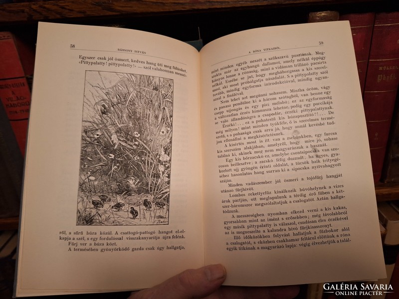 VADÁSZAT! 1922 az ikonikus mű IV. kiadása BÁRSONY ISTVÁN:ERDŐN MEZŐN TERMÉSZETI ÉS VADÁSZATI KÉPEK
