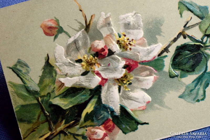 Antik dombornyomott jelzett művész képeslap - virágzó almafaág