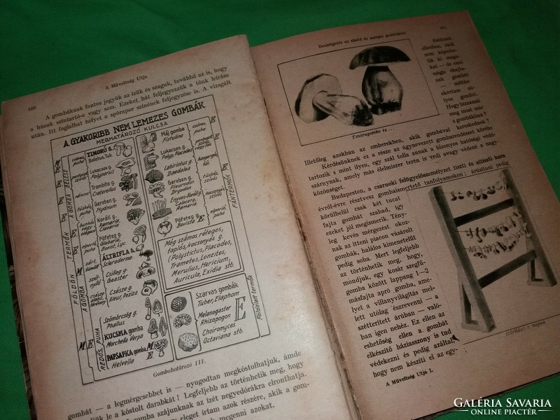 1910.cca. Harsányi Zsolt :A tudás forrása könyv képek szerint Tolnai Nyomda