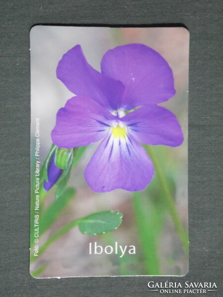 Card calendar, pharmacy, pharmacy, flower, violet, 2012