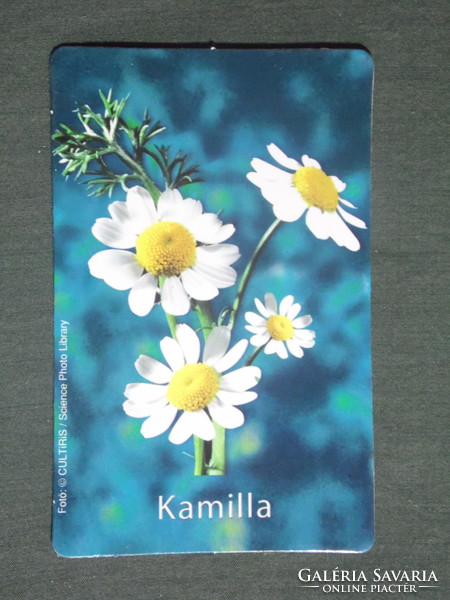 Card calendar, András Jósa pharmacy, pharmacy, Nyíregyháza, flower, chamomile, 2012