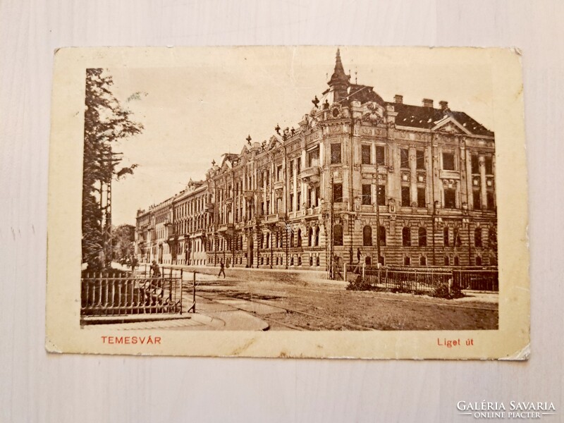 Temesvár, Liget út, 1912, antik, régi képeslap