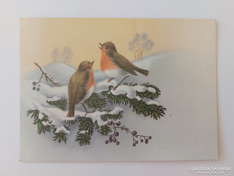 Régi karácsonyi képeslap levelezőlap madarak