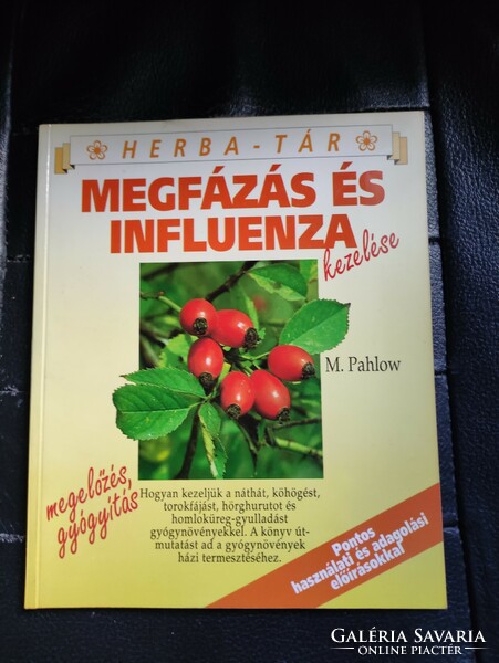 Megfázás és influenza kezelése-gyógynövényekkel természetes..