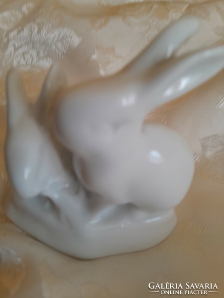 The bunny is white in color